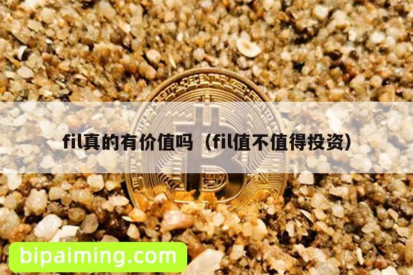 fil真的有价值吗（fil值不值得投资）