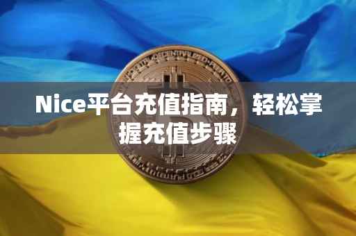 Nice平台充值指南，轻松掌握充值步骤