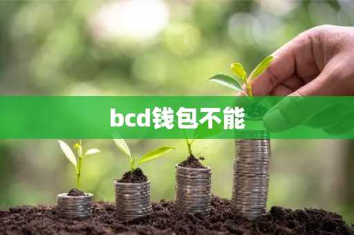 bcd钱包不能