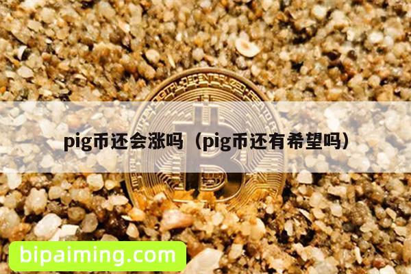 pig币还会涨吗（pig币还有希望吗）