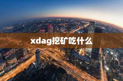xdag挖矿吃什么