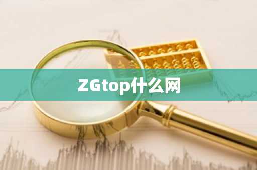 ZGtop什么网