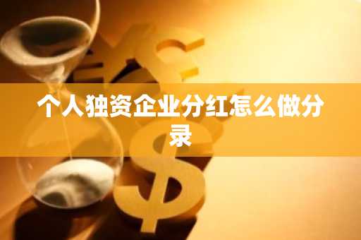 个人独资企业分红怎么做分录