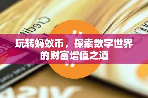 玩转蚂蚁币，探索数字世界的财富增值之道