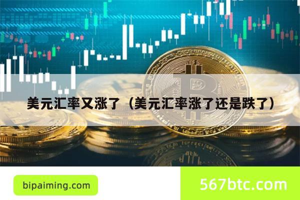 美元汇率又涨了（美元汇率涨了还是跌了）