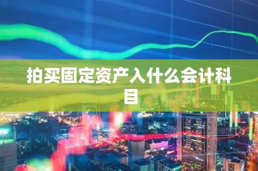 拍买固定资产入什么会计科目