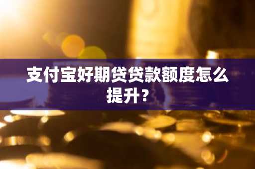 支付宝好期贷贷款额度怎么提升？