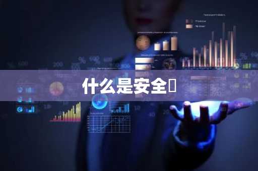 什么是安全帀
