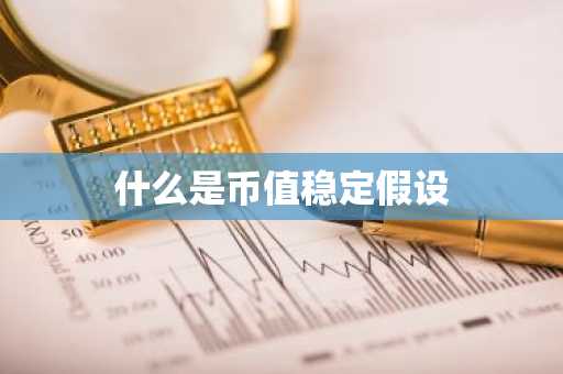 什么是币值稳定假设