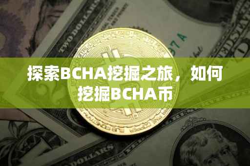 探索BCHA挖掘之旅，如何挖掘BCHA币