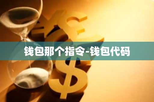 钱包那个指令-钱包代码