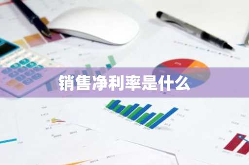 销售净利率是什么