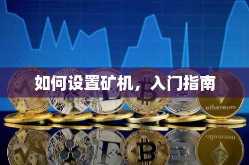 如何设置矿机，入门指南