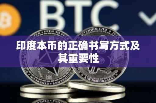 印度本币的正确书写方式及其重要性