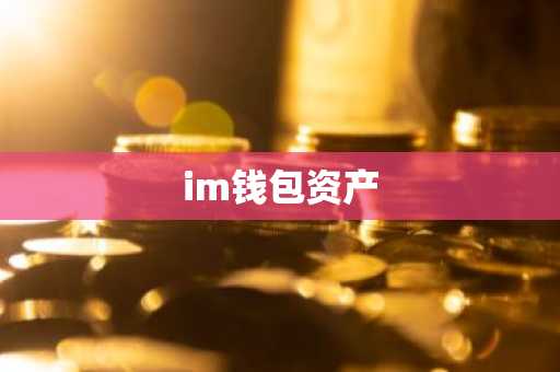 im钱包资产