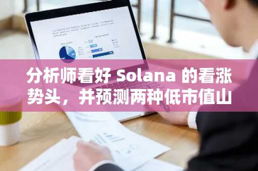 分析师看好 Solana 的看涨势头，并预测两种低市值山寨币将迎来反弹
