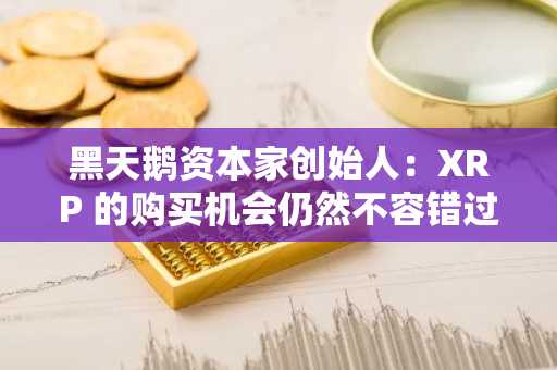 黑天鹅资本家创始人：XRP 的购买机会仍然不容错过