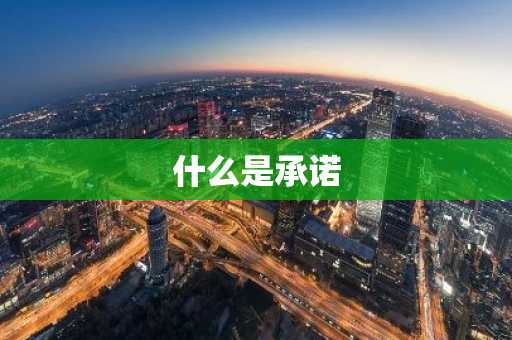 什么是承诺