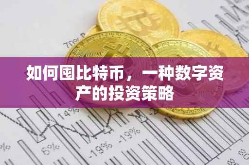 如何囤比特币，一种数字资产的投资策略