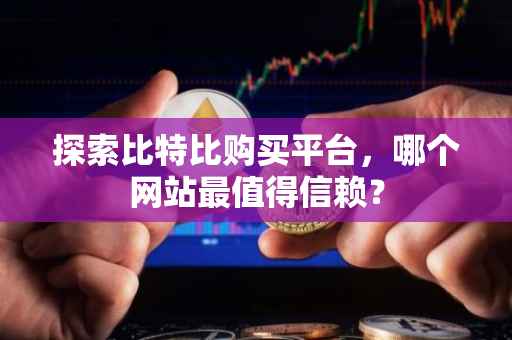 探索比特比购买平台，哪个网站最值得信赖？