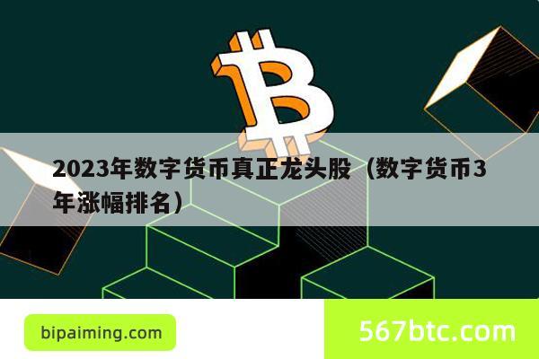 2023年数字货币真正龙头股（数字货币3年涨幅排名）