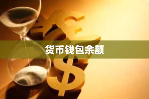 货币钱包余额