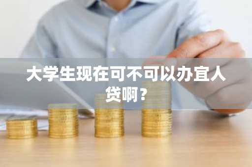 大学生现在可不可以办宜人贷啊？