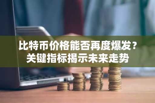 比特币价格能否再度爆发？关键指标揭示未来走势