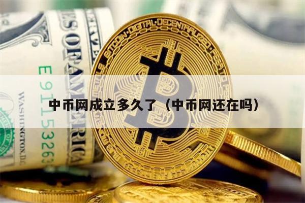 中币网成立多久了（中币网还在吗）