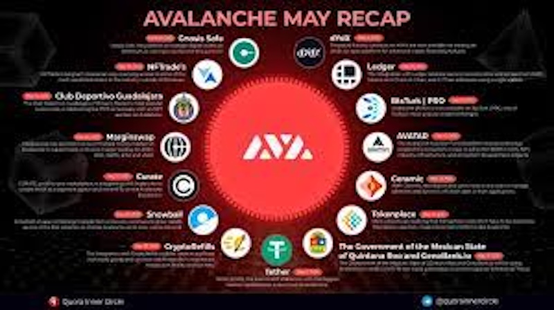 Avalanche（AVAX）子网生态爆发，哪些项目最具潜力？