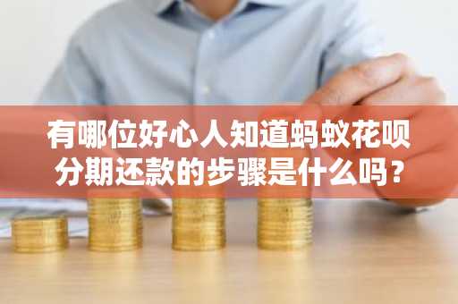 有哪位好心人知道蚂蚁花呗分期还款的步骤是什么吗？
