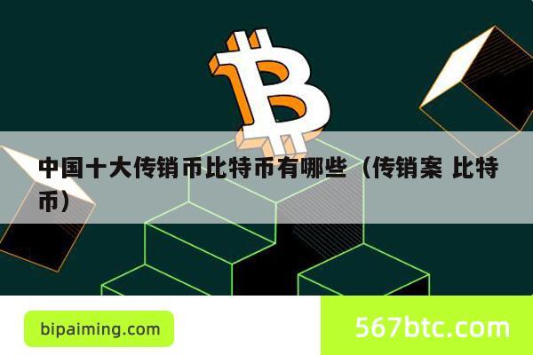 中国十大传销币比特币有哪些（传销案 比特币）