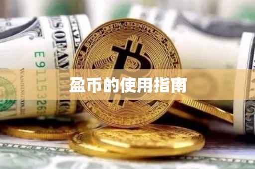 盈币的使用指南