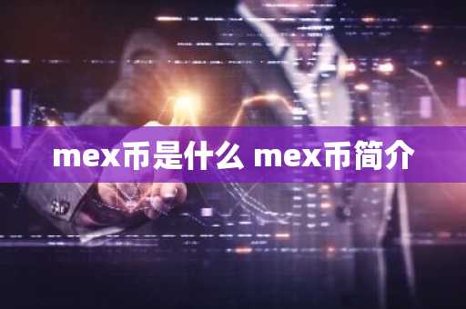 mex币是什么 mex币简介