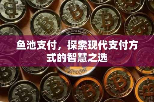 鱼池支付，探索现代支付方式的智慧之选
