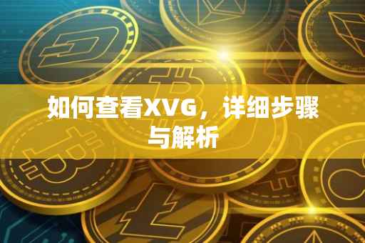 如何查看XVG，详细步骤与解析
