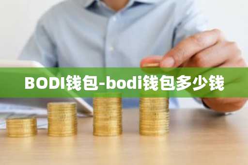 BODI钱包-bodi钱包多少钱