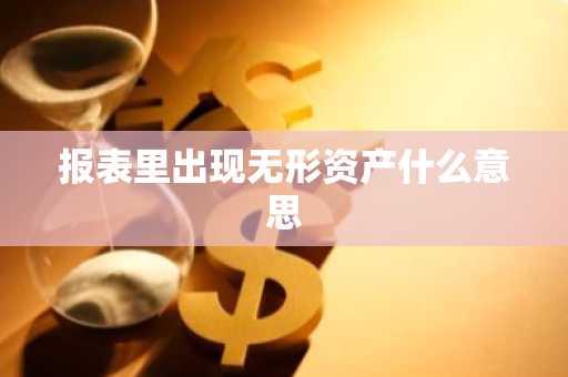 报表里出现无形资产什么意思