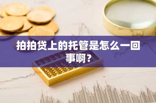 拍拍贷上的托管是怎么一回事啊？