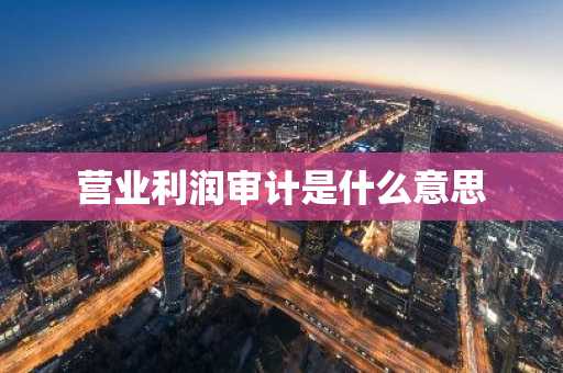 营业利润审计是什么意思