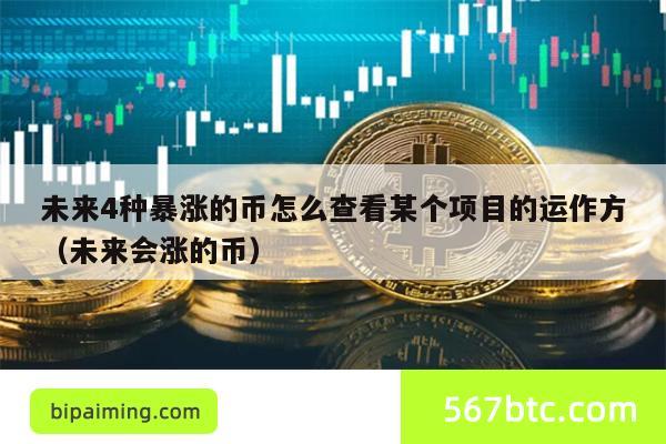 未来4种暴涨的币怎么查看某个项目的运作方（未来会涨的币）