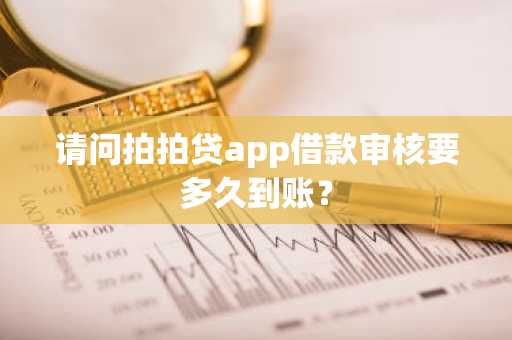 请问拍拍贷app借款审核要多久到账？
