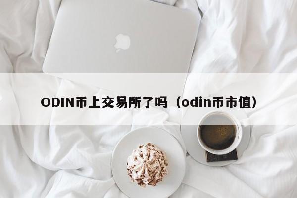 ODIN币上交易所了吗（odin币市值）