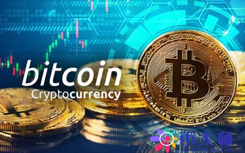 屎币前景未来3年(屎币有前途吗)