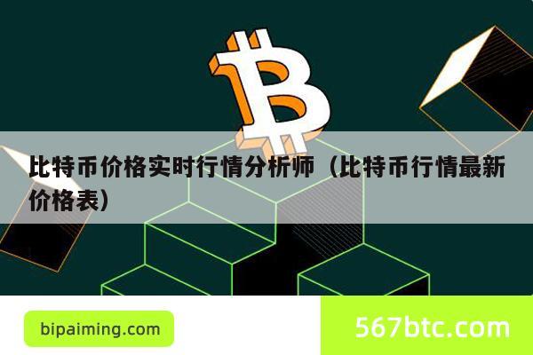 比特币价格实时行情分析师（比特币行情最新价格表）