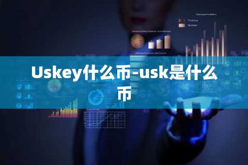 Uskey什么币-usk是什么币