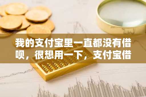 我的支付宝里一直都没有借呗，很想用一下，支付宝借呗能强开吗？