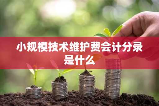 小规模技术维护费会计分录是什么