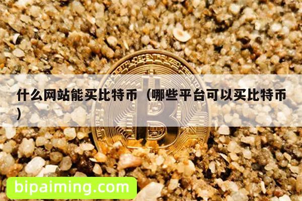 什么网站能买比特币（哪些平台可以买比特币）