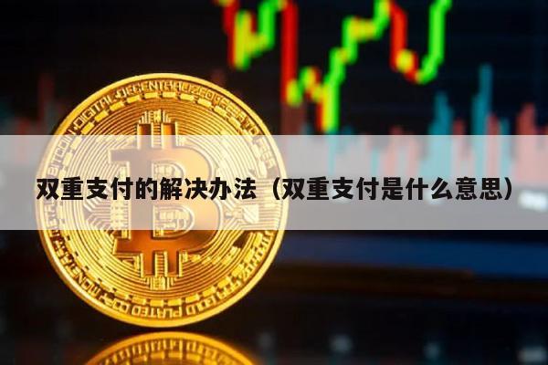 双重支付的解决办法（双重支付是什么意思）